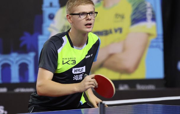 业内人士对 业内人士对