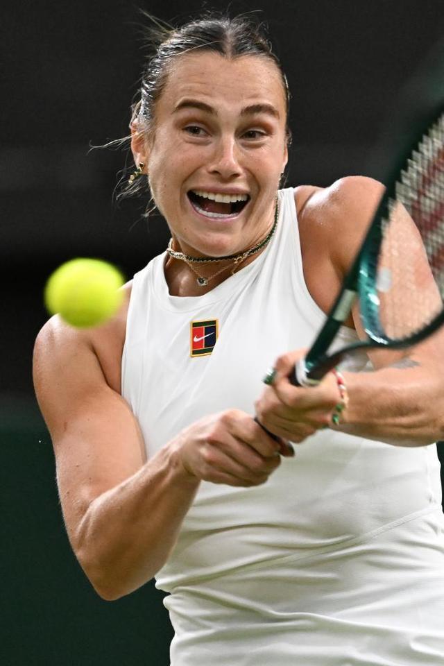 樊振东与王 樊振东与王